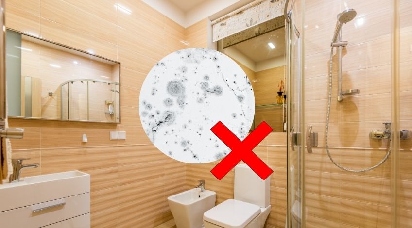 The Ultimate Guide To Removing Black Mould From Your Home