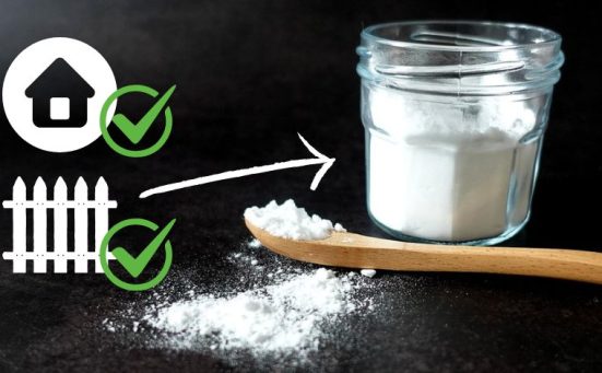 The Ultimate Guide To Using Borax In Your Home & Garden
