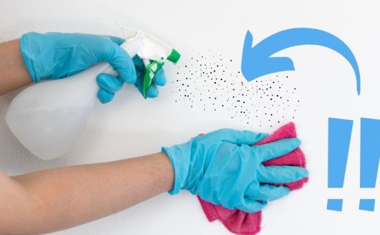 How To Clean & Neutralise Black Mould From Your Walls