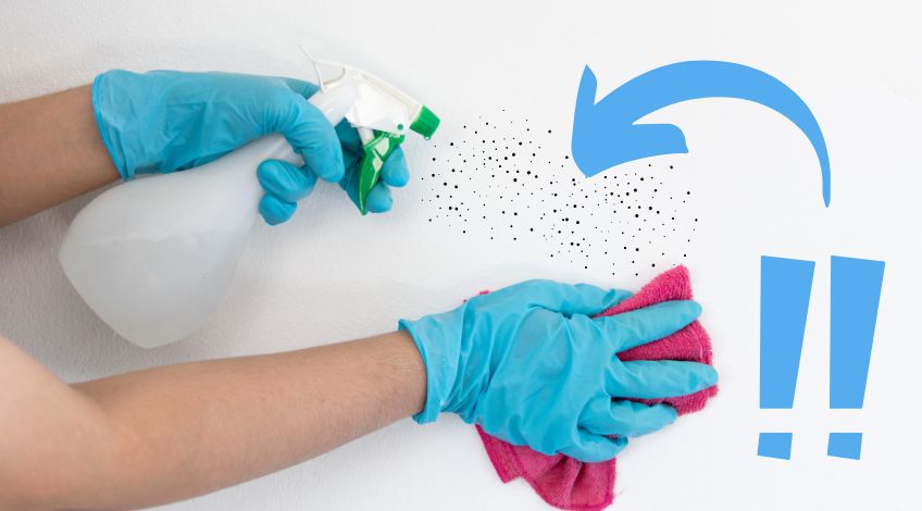 How To Clean & Neutralise Black Mould From Your Walls
