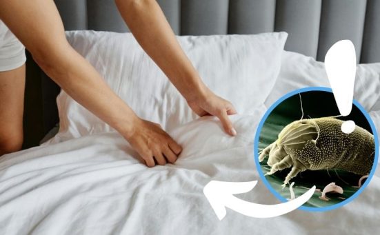 You’re Washing Your Comforter Wrong And Dust Mites Love That