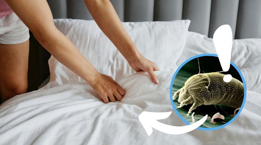 You’re Washing Your Comforter Wrong And Dust Mites Love That
