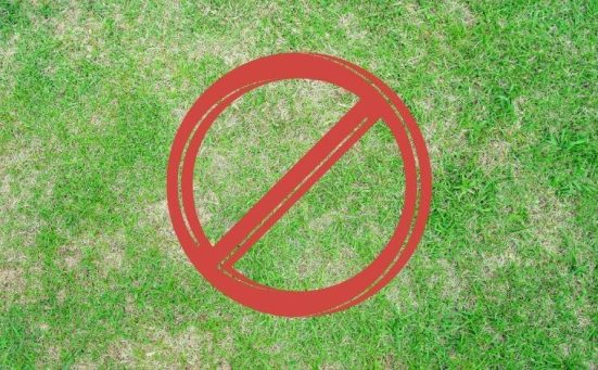 13 Lawn Care Mistakes That Could Be Ruining Your Grass
