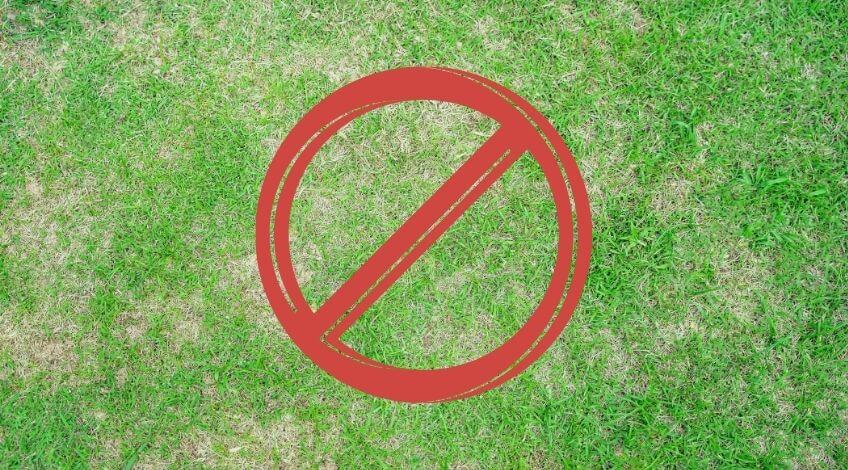 13 Lawn Care Mistakes That Could Be Ruining Your Grass
