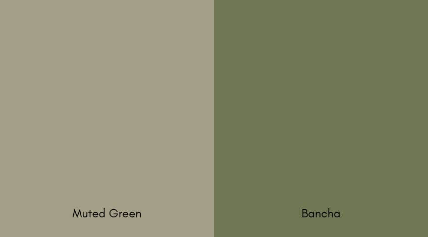 Bancha