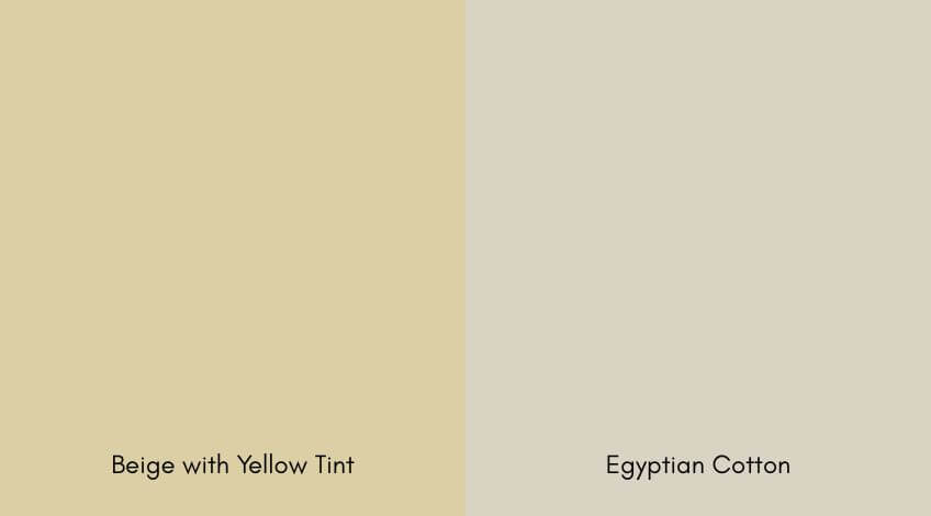 Egyptian Cotton