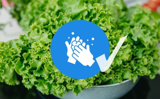 Here’s How to Clean Leafy Greens Properly So You Don’t Eat Hidden Bugs
