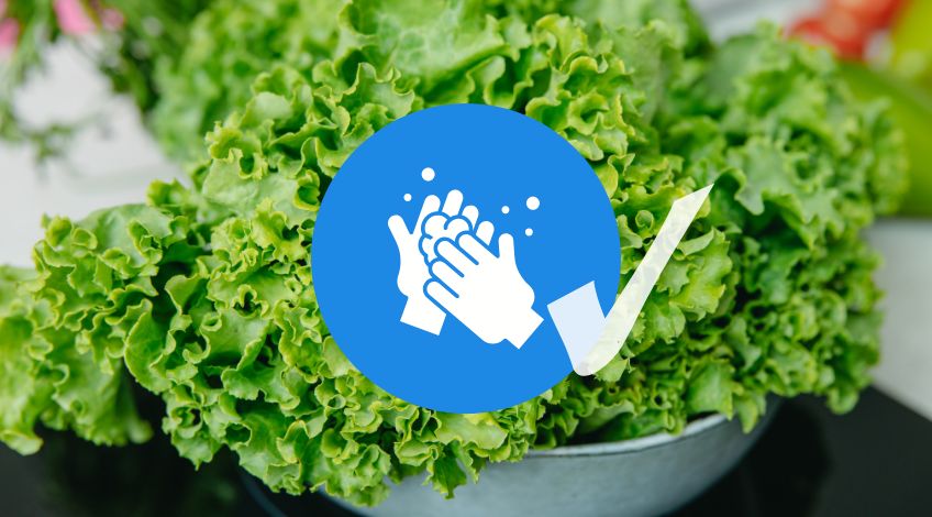 Here’s How to Clean Leafy Greens Properly So You Don’t Eat Hidden Bugs