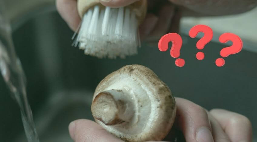 Should You Wash Mushrooms? The Answer Might Surprise You