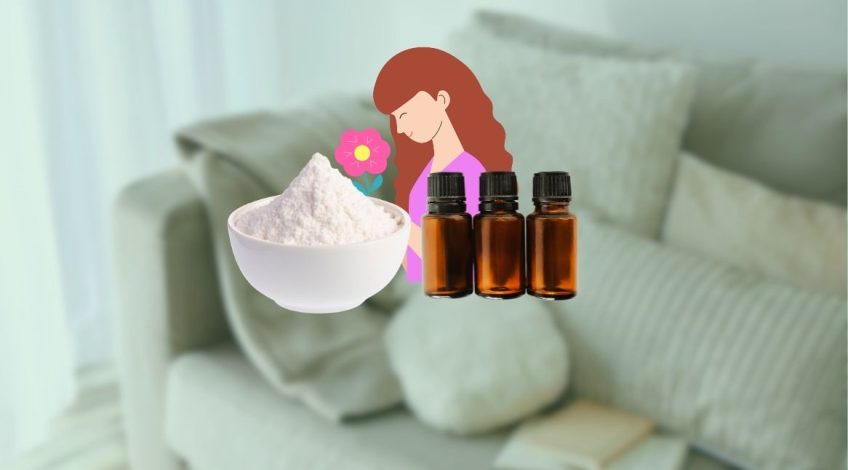 The £1 Hack That Makes Your Home Smell Incredible All Day Long