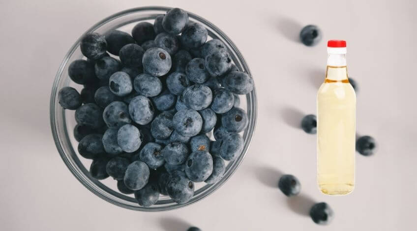 blueberries and vinegar