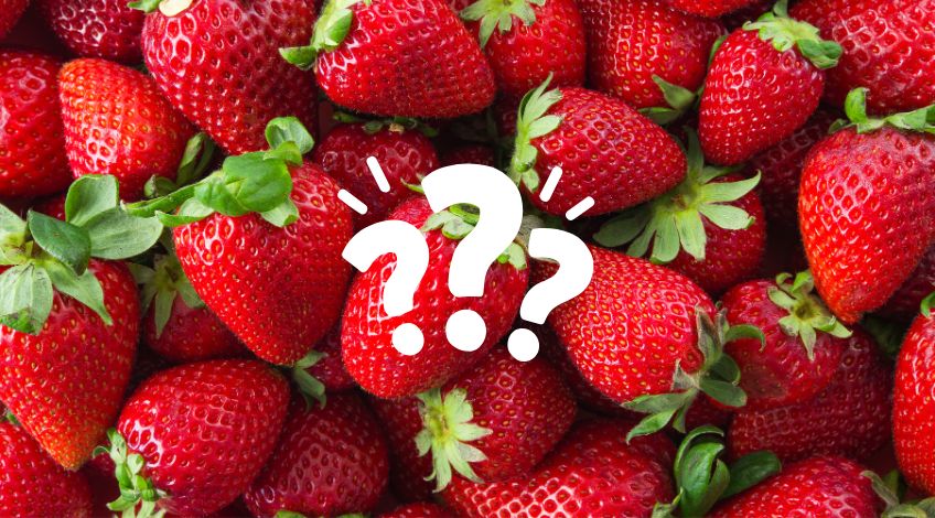 Are There Really Bugs In Strawberries? Try This Natural Cleaning Method And See