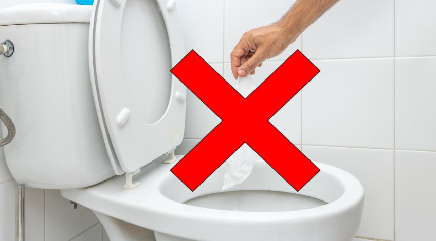 Why You Should Never Flush These 5 Everyday Items