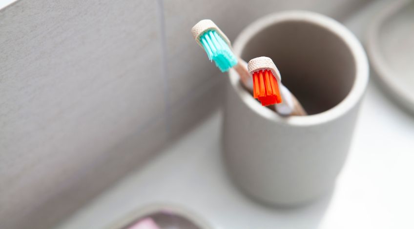 toothbrushes in holder