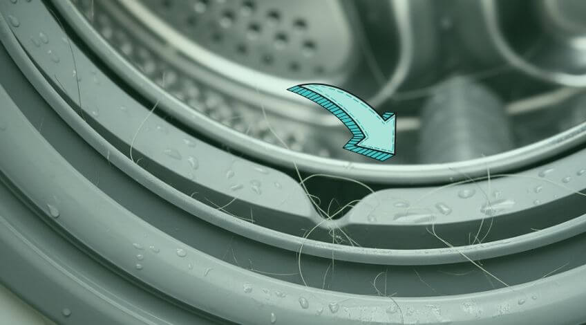 Why You Should Always Clean Your Washing Machine Door Seal (You’ll Be Grossed Out!)