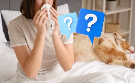 Why Your Bedroom Might Be Making Your Allergies Worse