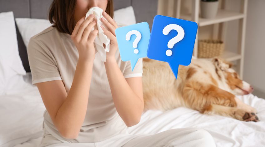 Why Your Bedroom Might Be Making Your Allergies Worse